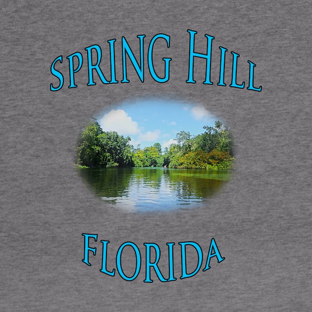 Spring Hill Florida by DesigningJudy